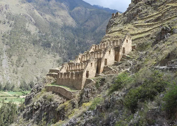 Picaflor Tambo Ollantaytambo